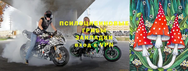 круглые Белокуриха