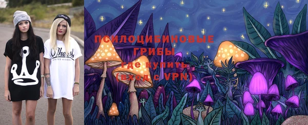 ГАЛЛЮЦИНОГЕННЫЕ ГРИБЫ Беломорск