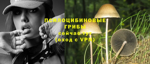 мет Богородицк