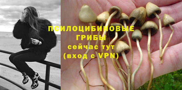 2c-b Богданович